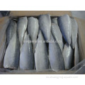 Precio de filete de caballa de pescado congelado de alta calidad
